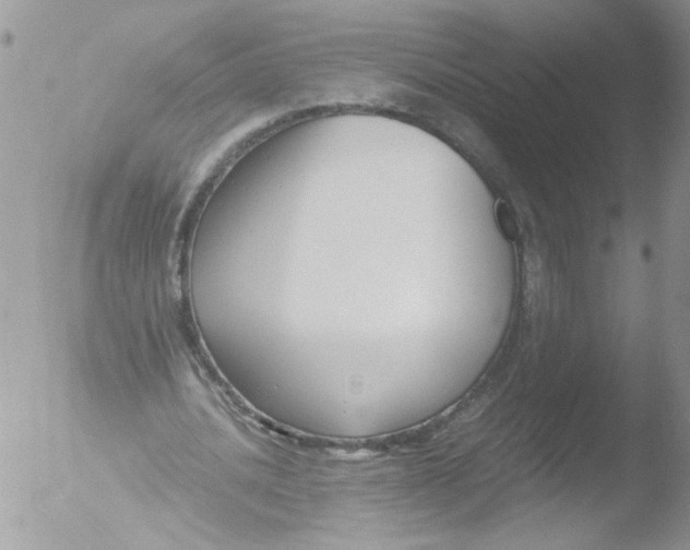 X0000051240628200507152124