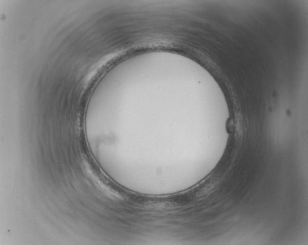 X0000051240629200507152124