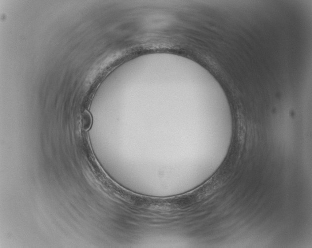 X0000051240631200507152124