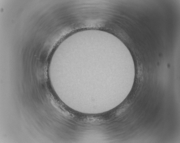 X0000051240632200507152124