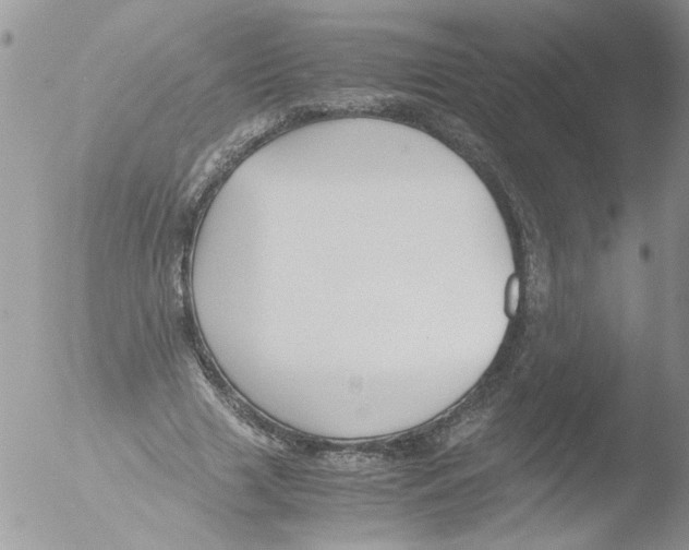 X0000051240633200507152124