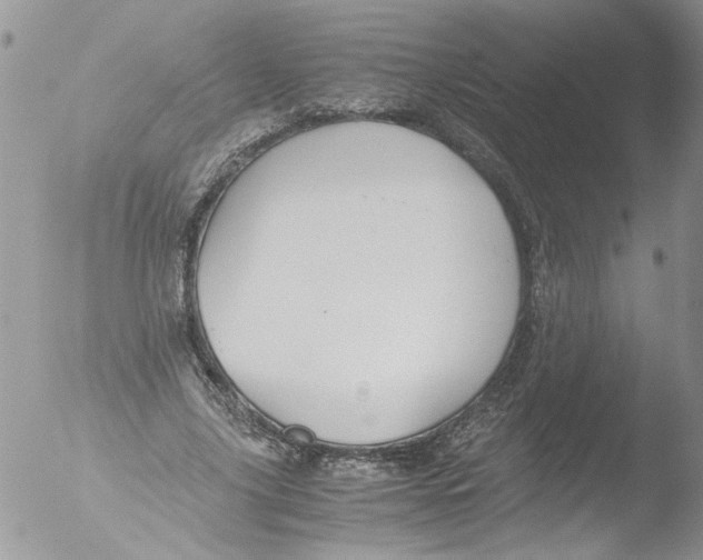 X0000051240635200507152124