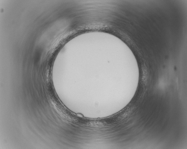 X0000051240636200507152124