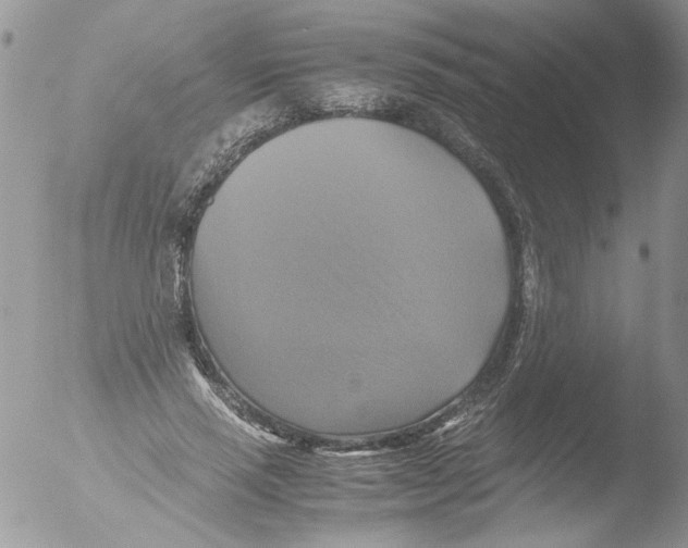 X0000051240637200507152124