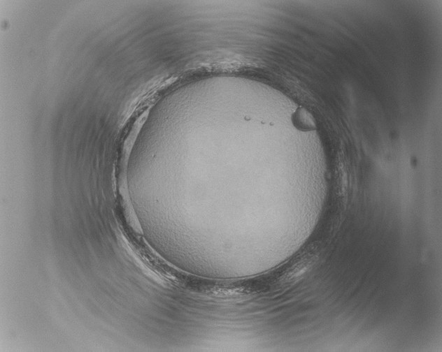 X0000051240638200507152124