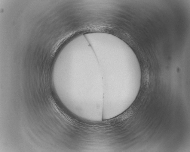 X0000051240640200507152124