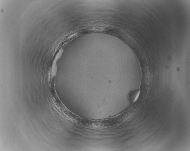 X0000051240641200507152124