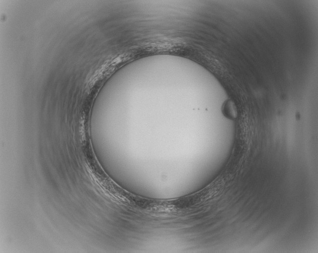 X0000051240642200507152124