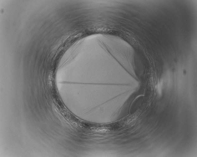 X0000051240643200507152124