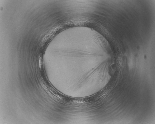 X0000051240644200507152124