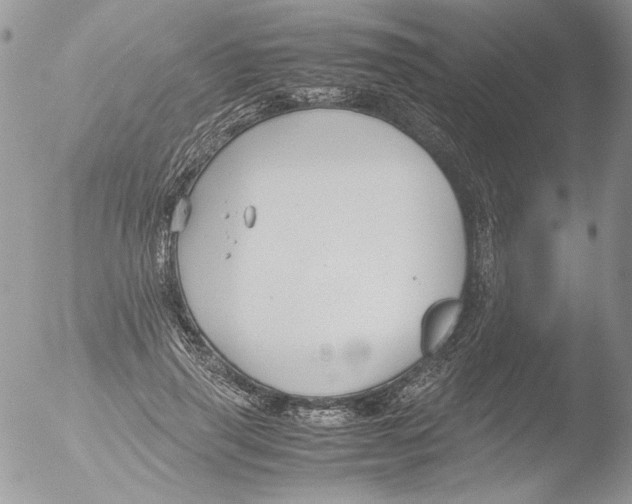 X0000051240645200507152124