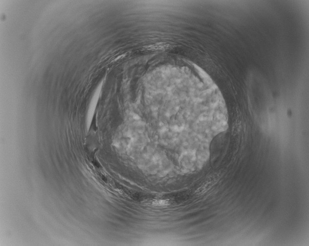 X0000051240647200507152125