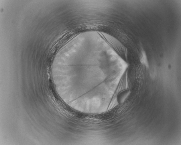 X0000051240648200507152125