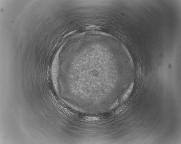 X0000051240649200507152125