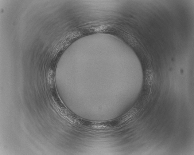 X0000051240650200507152125