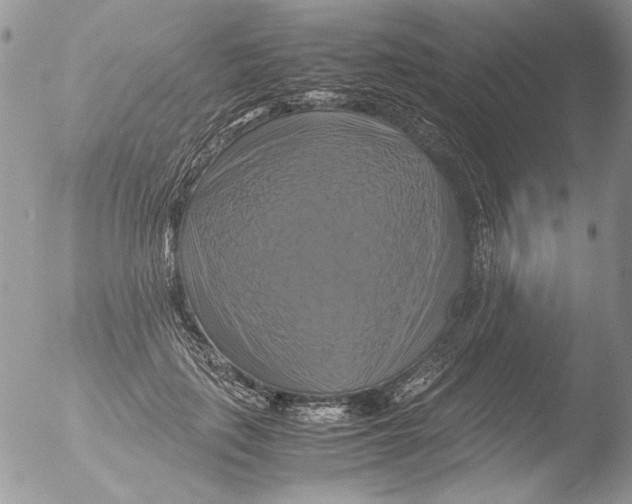 X0000051240651200507152125