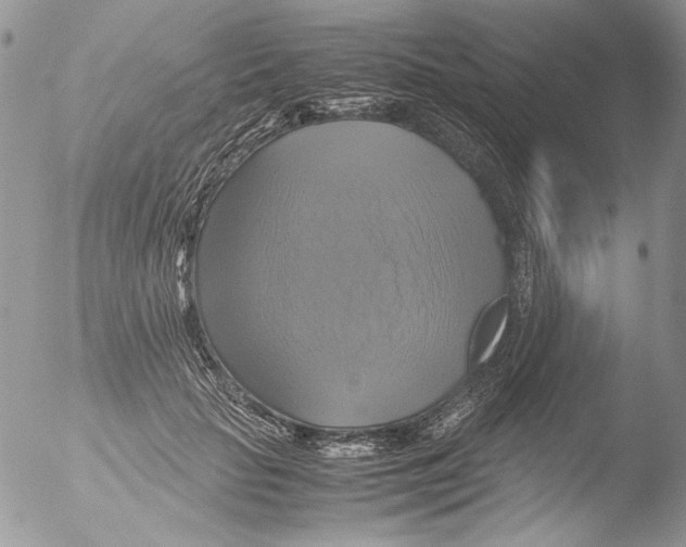 X0000051240653200507152125