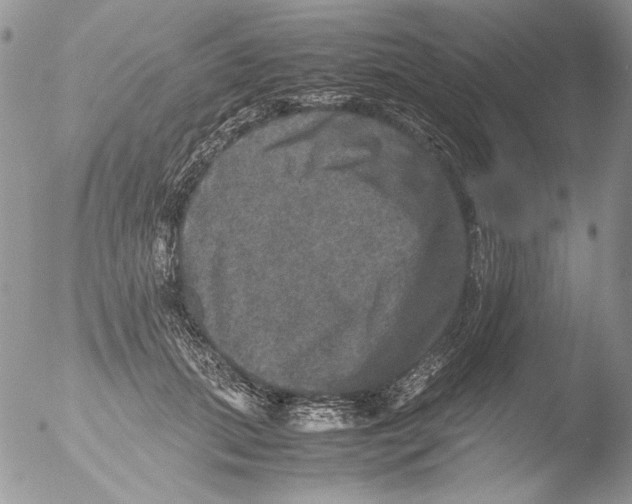 X0000051240655200507152125