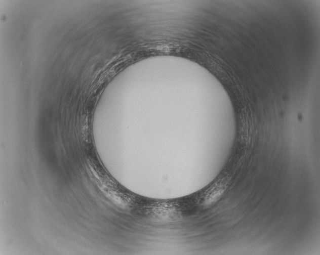 X0000051240656200507152125