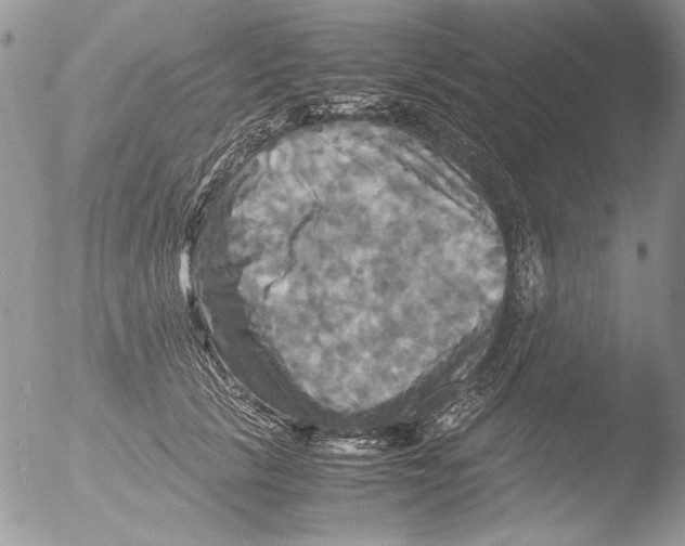 X0000051240657200507152125