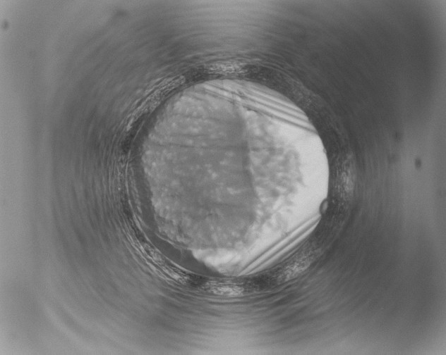 X0000051240658200507152125