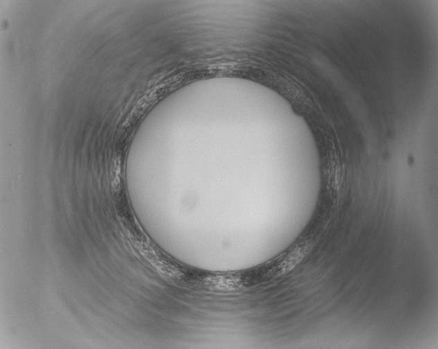 X0000051240660200507152125