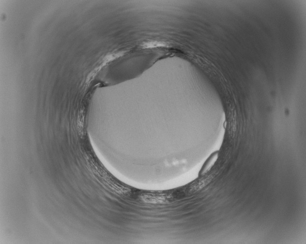 X0000051240661200507152125