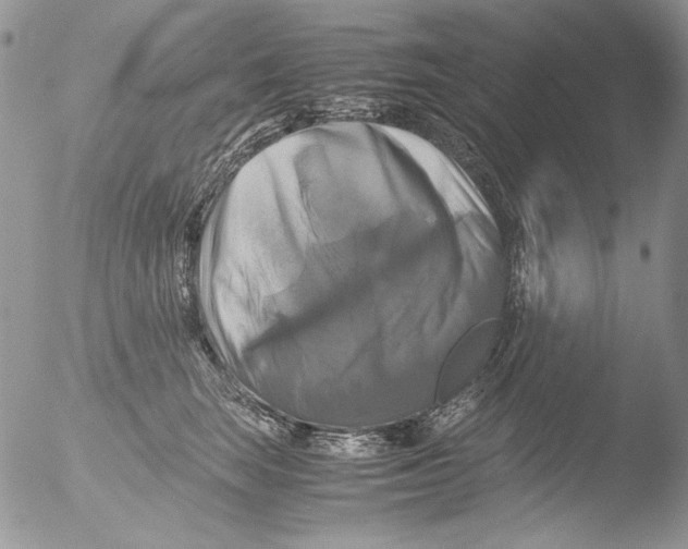 X0000051240663200507152125