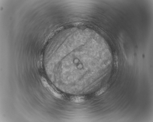 X0000051240664200507152125