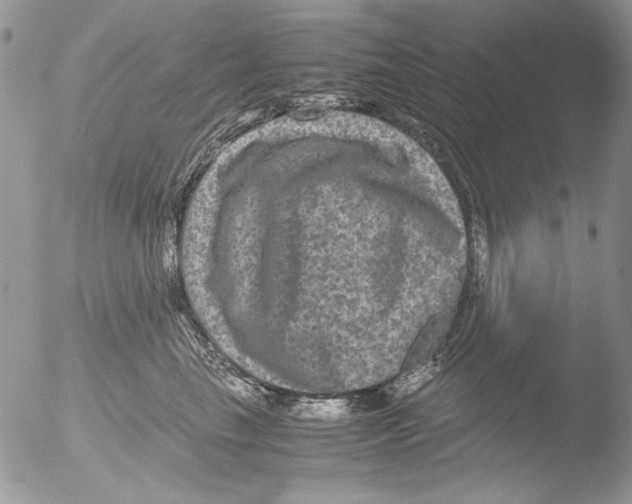 X0000051240665200507152125