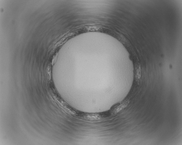 X0000051240666200507152125