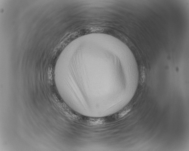 X0000051240667200507152125