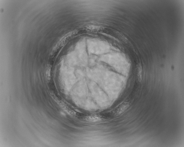 X0000051240668200507152125