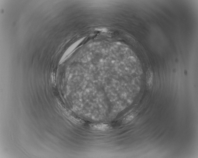 X0000051240669200507152125