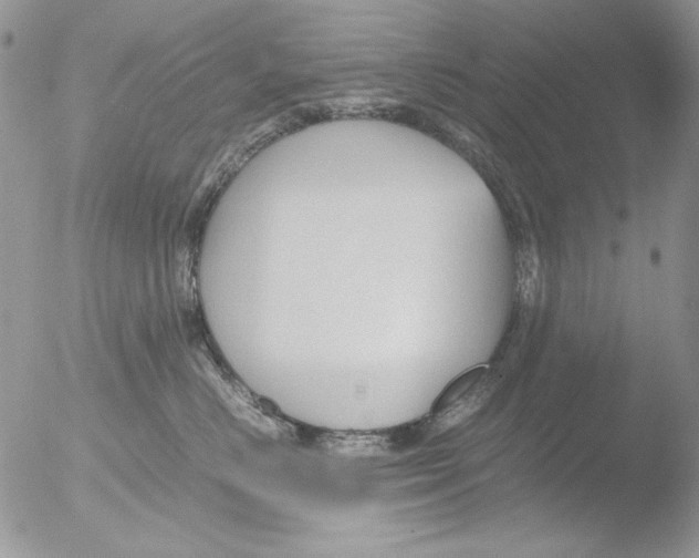 X0000051240670200507152125