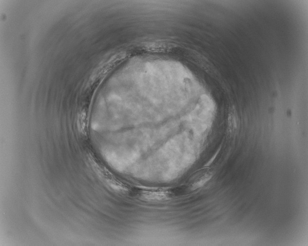 X0000051240671200507152125