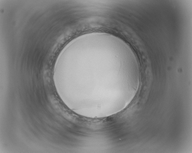 X0000051240672200507152125