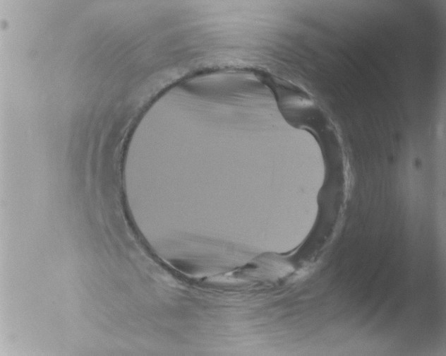 X0000051240673200507152124