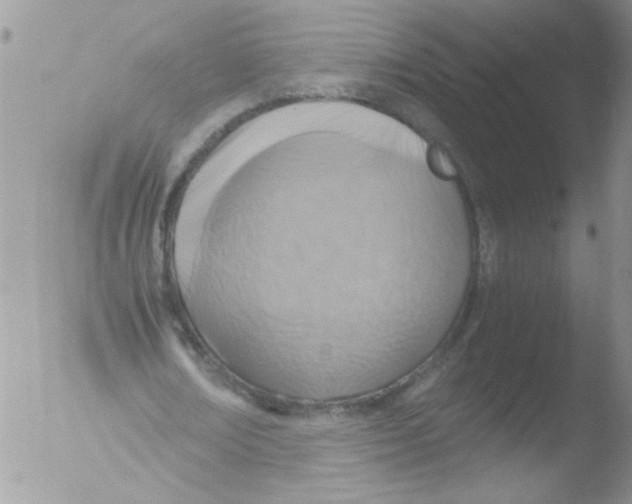 X0000051240674200507152124