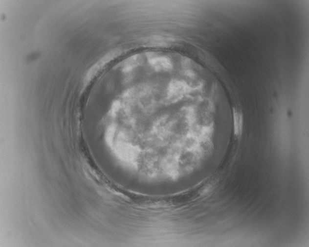 X0000051240675200507152124