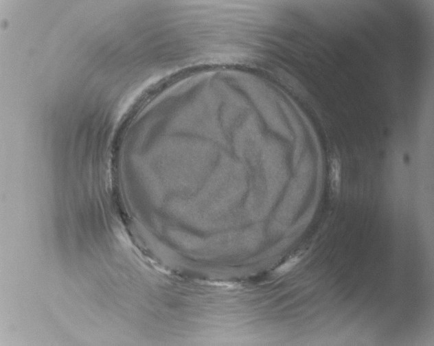 X0000051240676200507152124