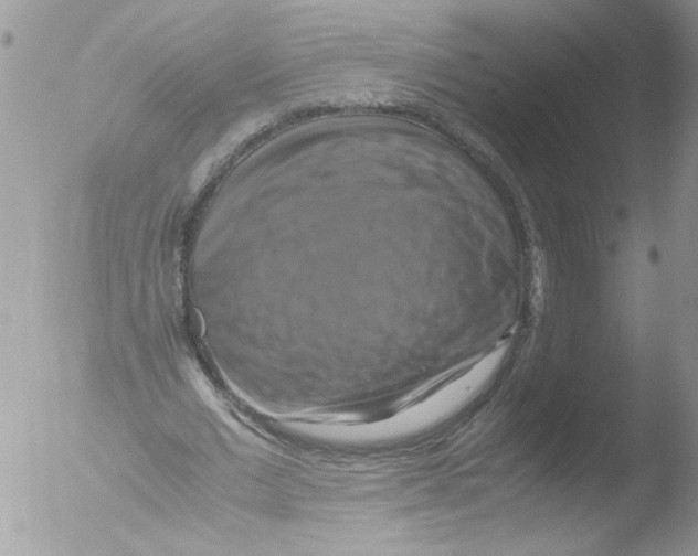 X0000051240677200507152124