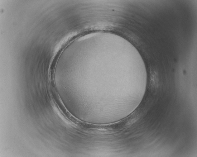 X0000051240678200507152124