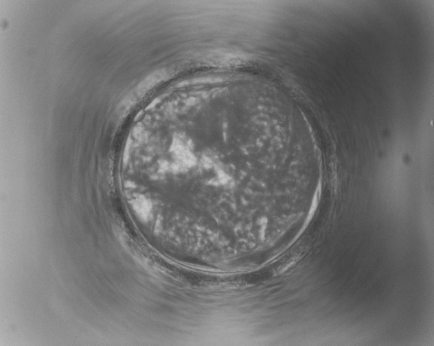 X0000051240679200507152124