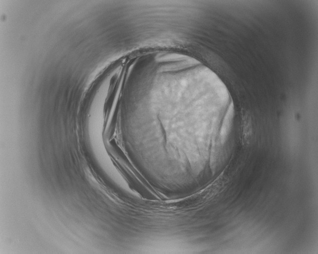 X0000051240680200507152124