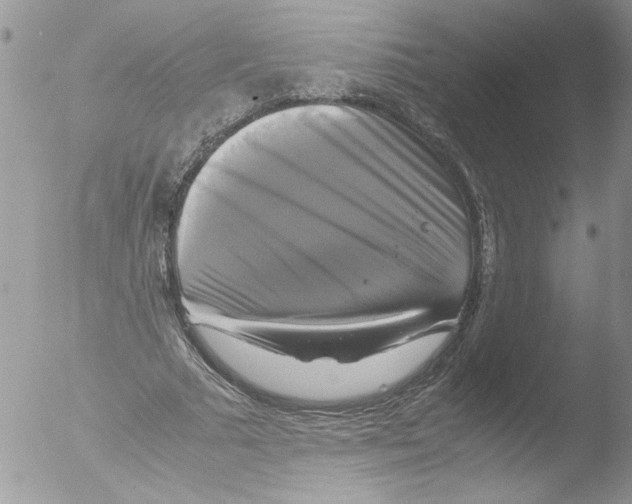 X0000051240681200507152124