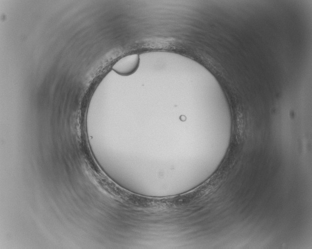 X0000051240682200507152124