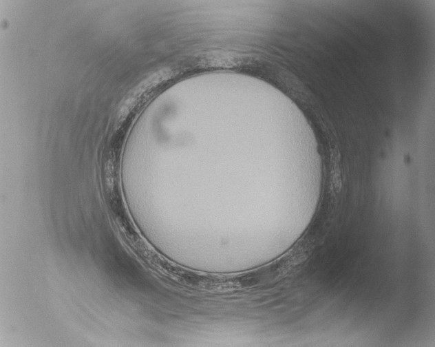 X0000051240683200507152124