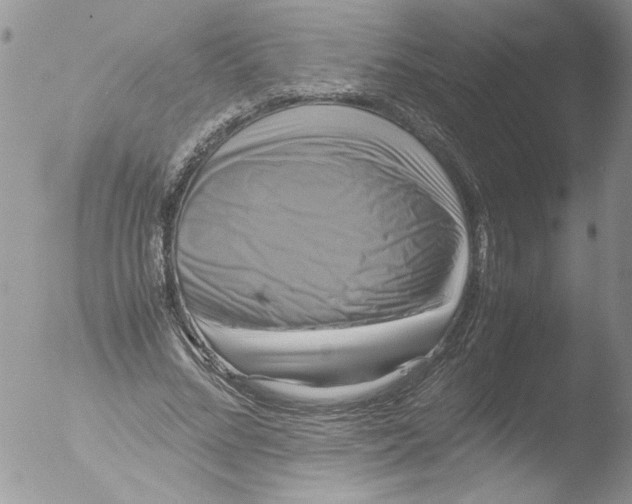 X0000051240684200507152124