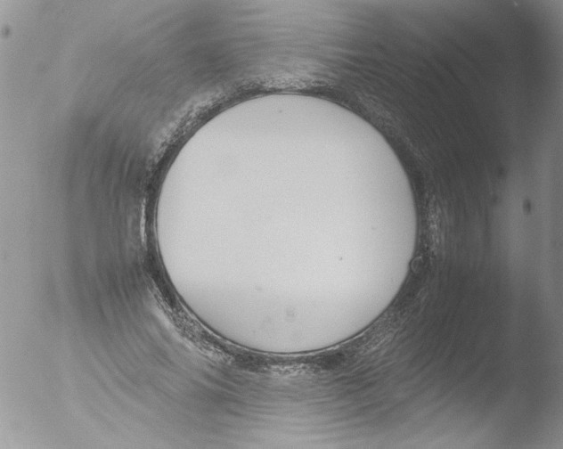 X0000051240686200507152124